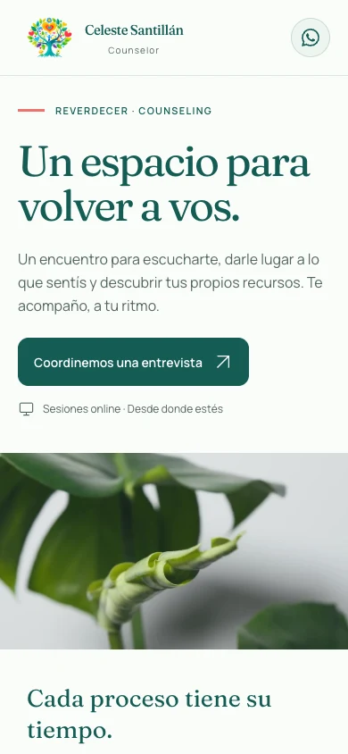 Celeste Santillán: vista del diseño en celular